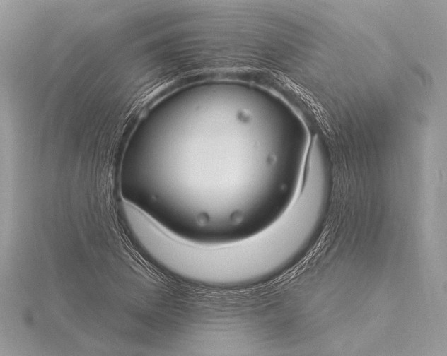 X0000115831169200912041642