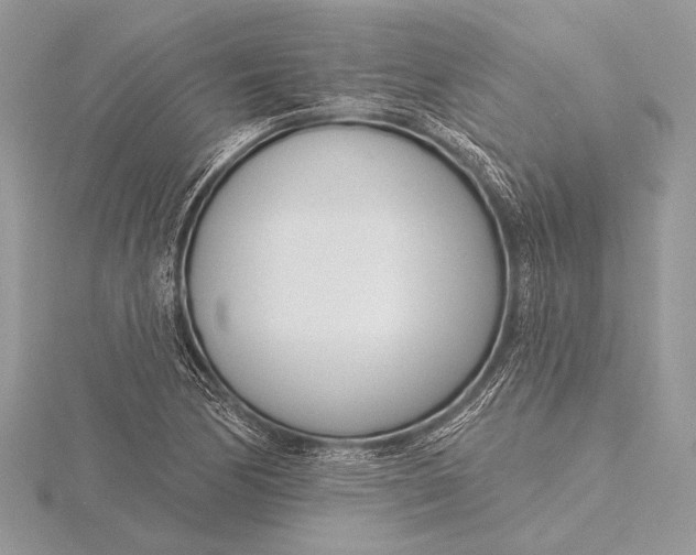 X0000115831170200912041642