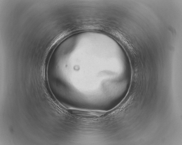 X0000115831173200912041642