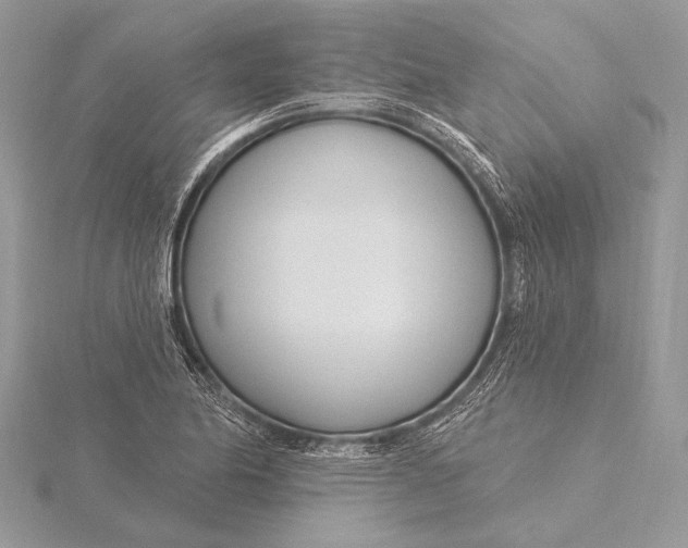 X0000115831174200912041641