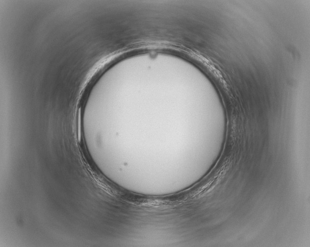 X0000115831175200912041641