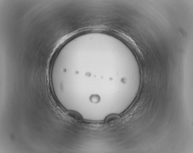 X0000115831176200912041641