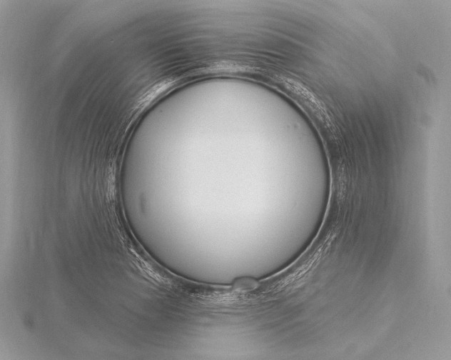 X0000115831177200912041641