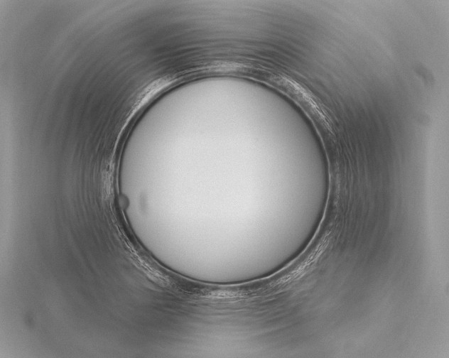 X0000115831178200912041641