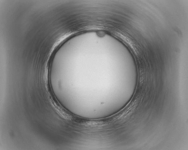 X0000115831179200912041641