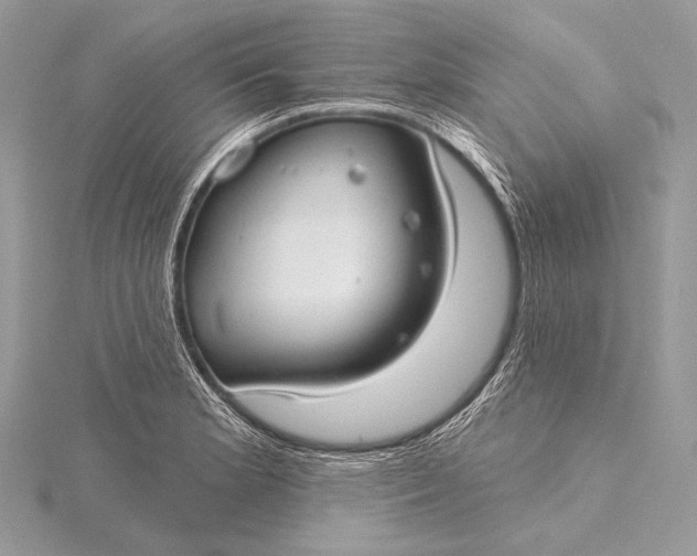 X0000115831181200912041641