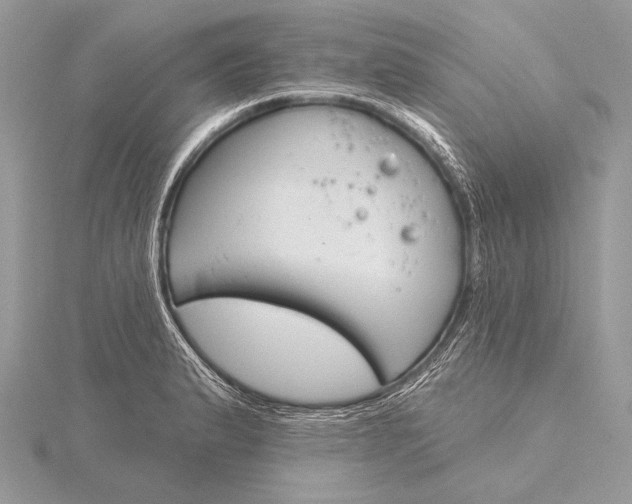 X0000115831183200912041641