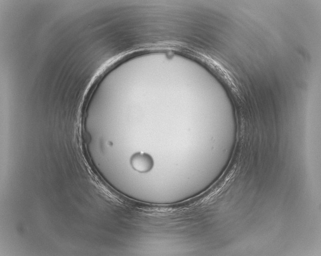 X0000115831184200912041641