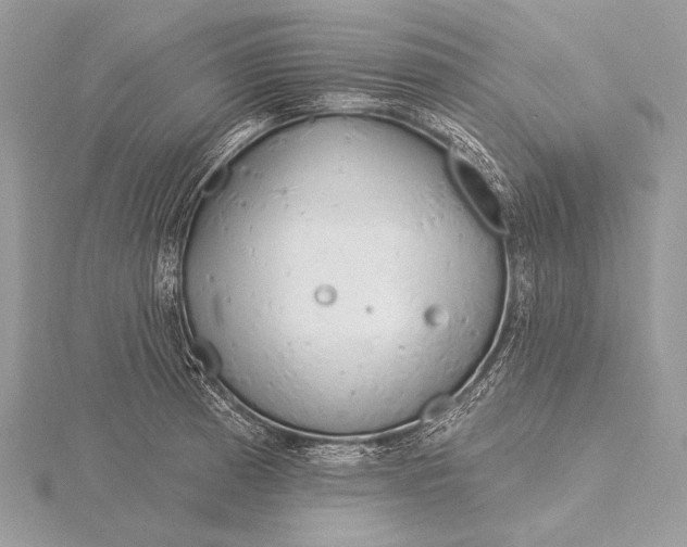 X0000115831185200912041641