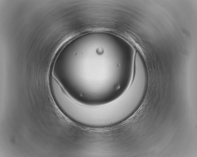 X0000115831189200912041641