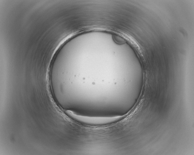 X0000115831190200912041641