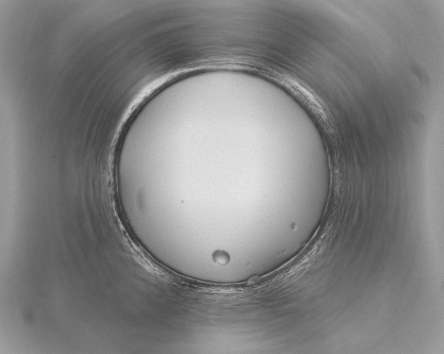 X0000115831192200912041641