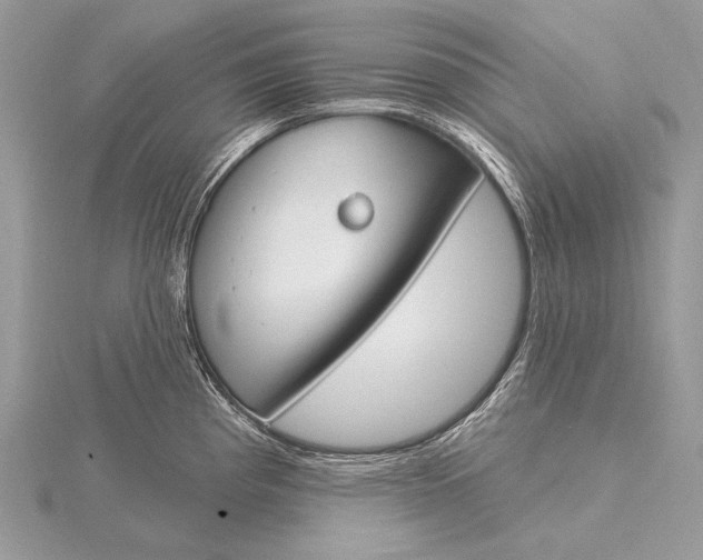 X0000115831193200912041641