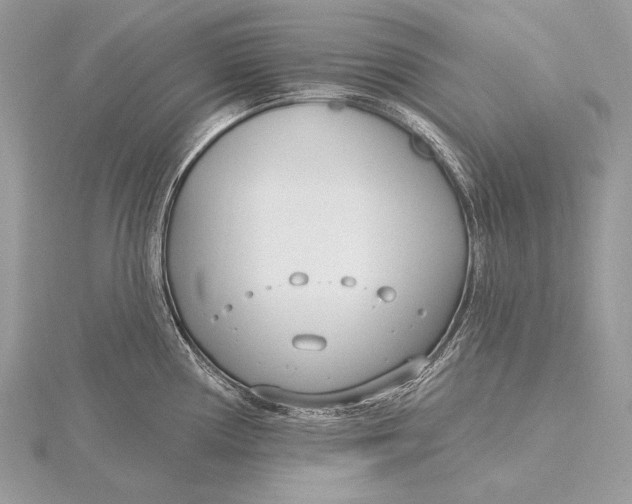 X0000115831194200912041641