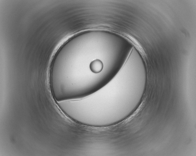 X0000115831196200912041641