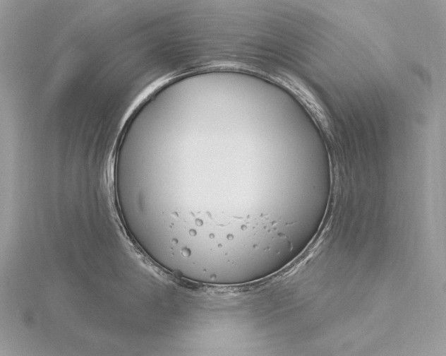 X0000115831198200912041641