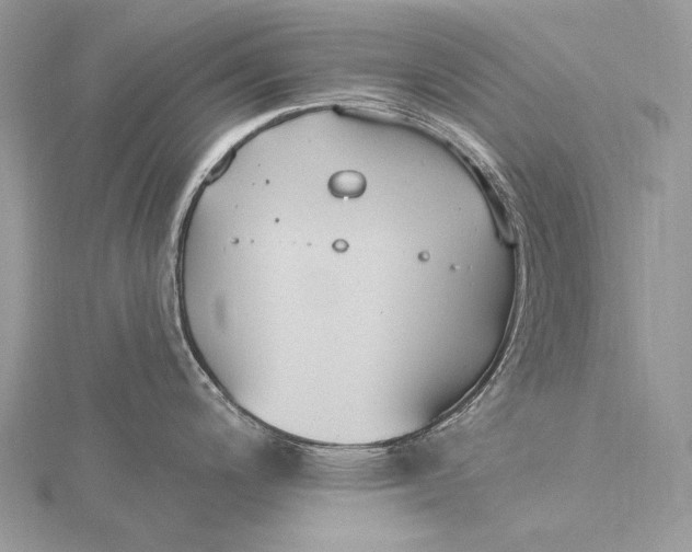 X0000115831200200912041641