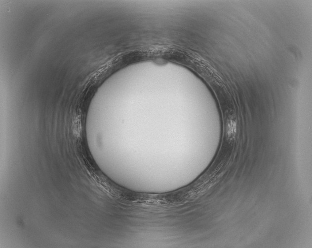 X0000115831204200912041641