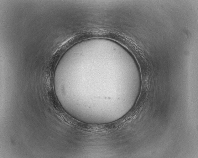 X0000115831205200912041641