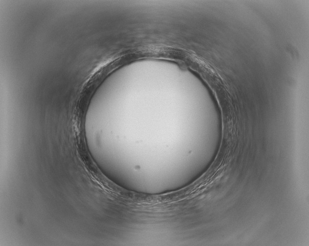 X0000115831206200912041641