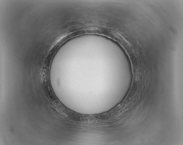 X0000115831208200912041641