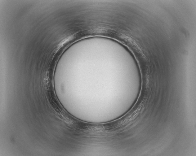 X0000115831210200912041641