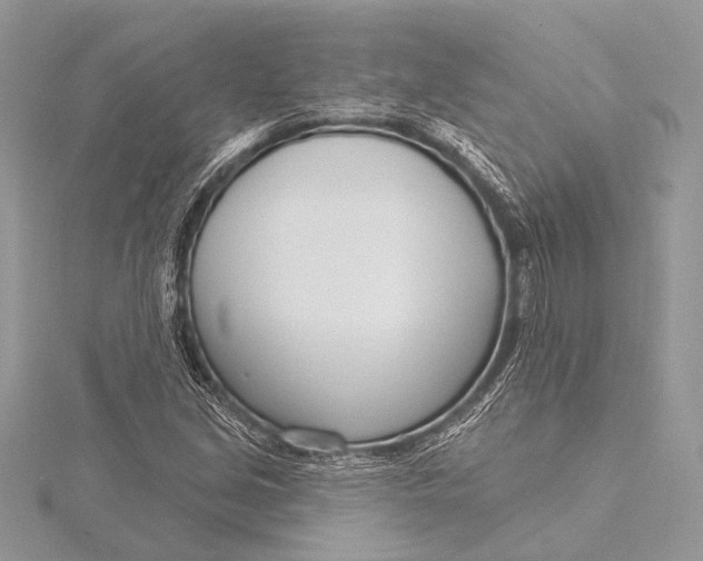 X0000115831213200912041641