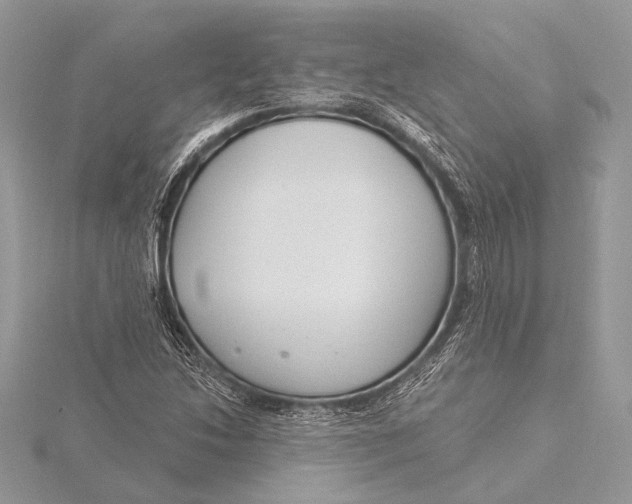 X0000115831214200912041641