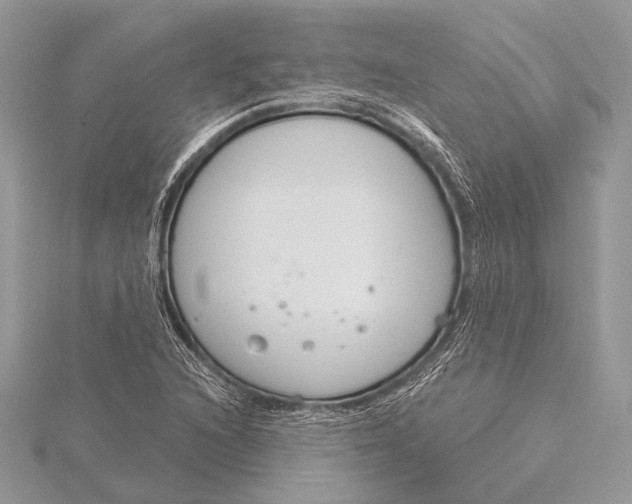 X0000115831216200912041641