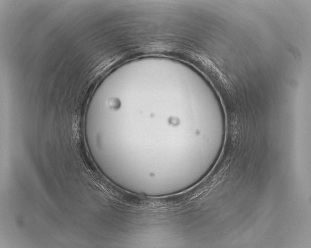 X0000115831217200912041641