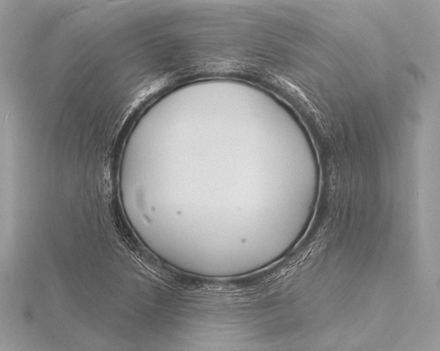 X0000115831218200912041641