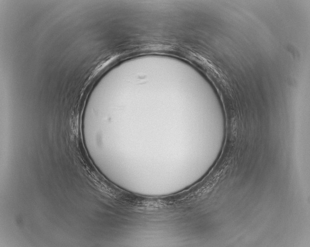 X0000115831220200912041641