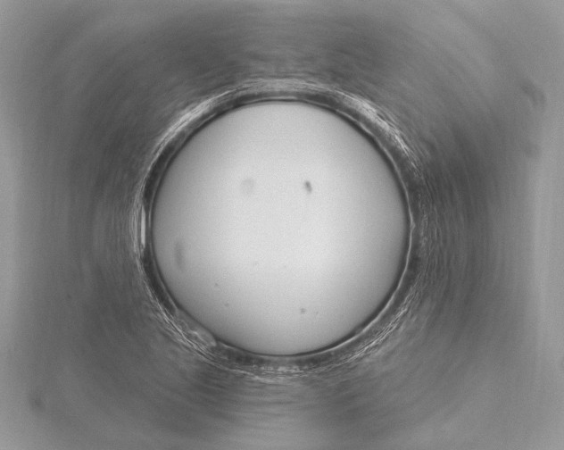 X0000115831221200912041641