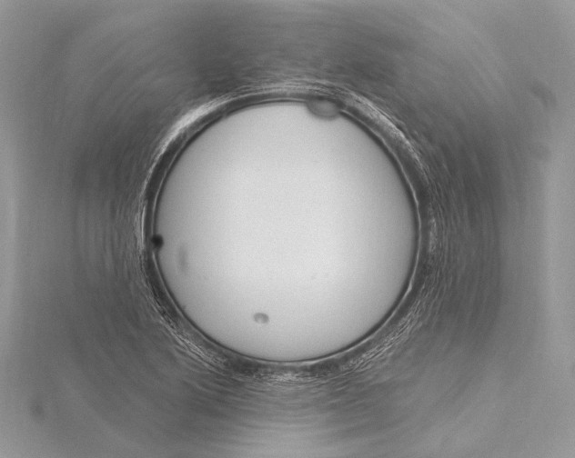 X0000115831222200912041641