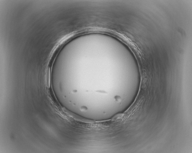 X0000115831223200912041641