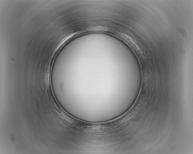 X0000115831228200912041641