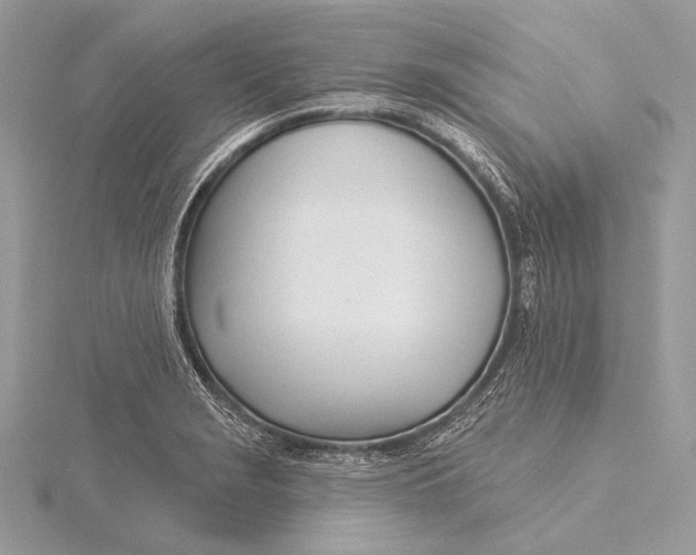 X0000115831229200912041641