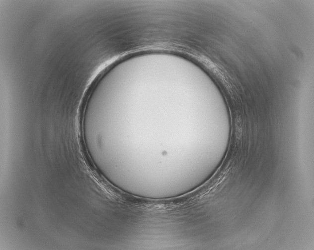 X0000115831230200912041641