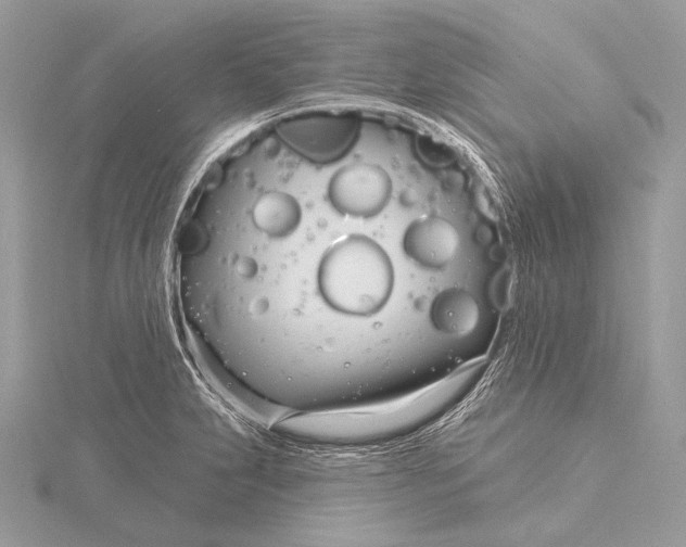 X0000115831231200912041641