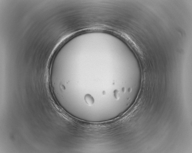 X0000115831232200912041641