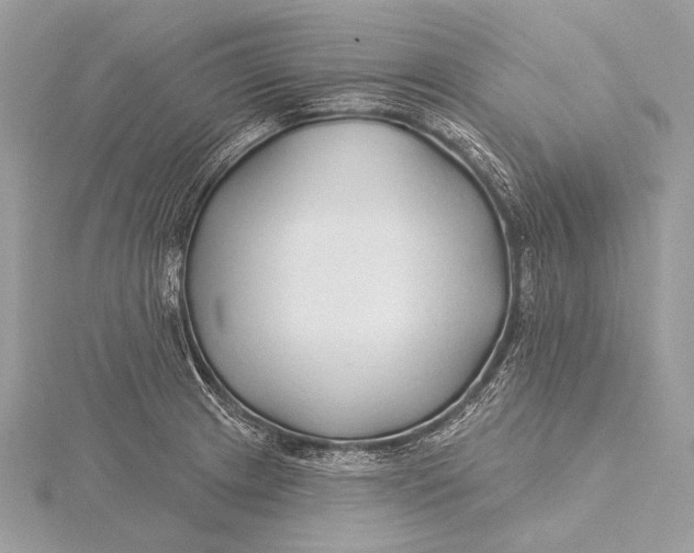 X0000115831233200912041641