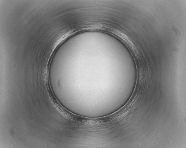 X0000115831234200912041641