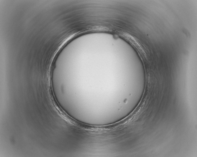 X0000115831236200912041641