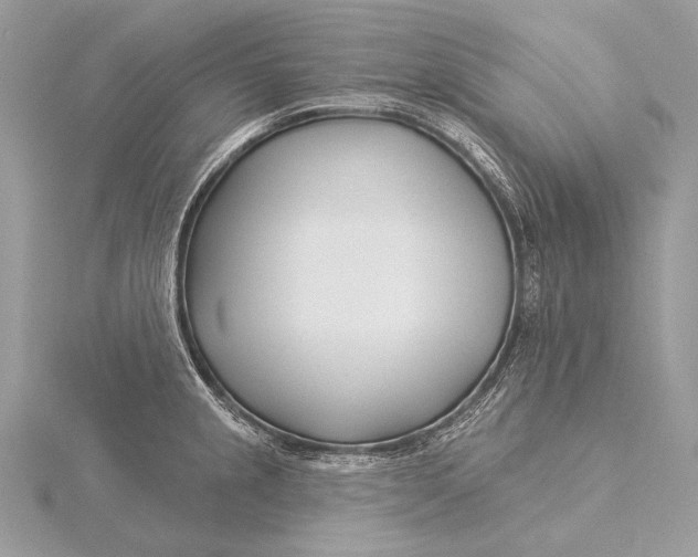 X0000115831237200912041641