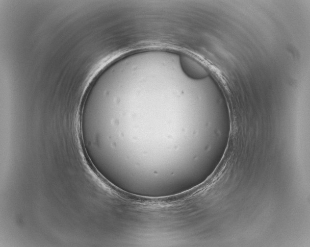 X0000115831239200912041641