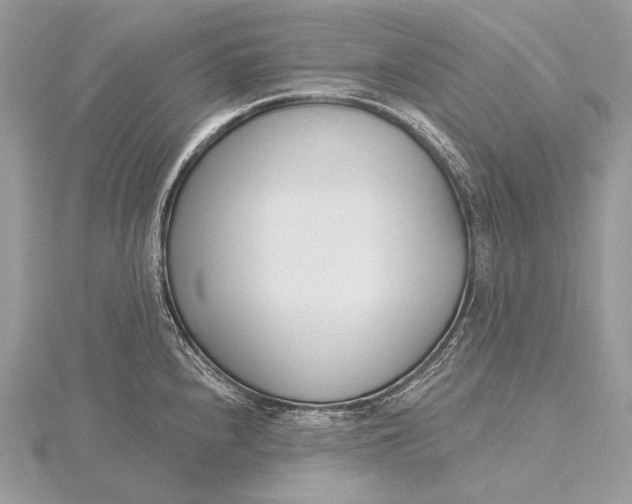 X0000115831240200912041641