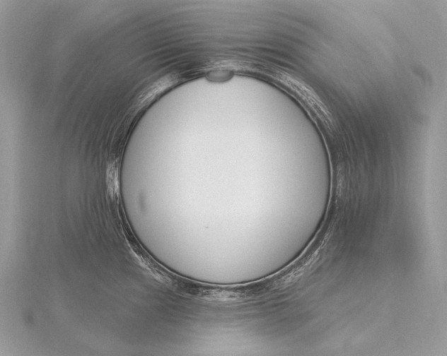 X0000115831241200912041641