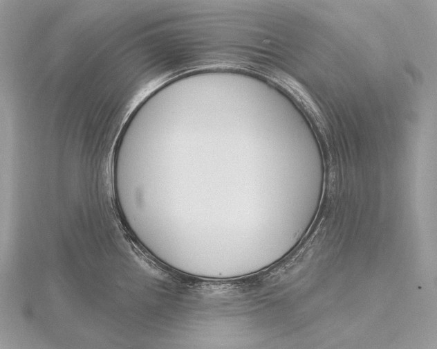 X0000115831242200912041641