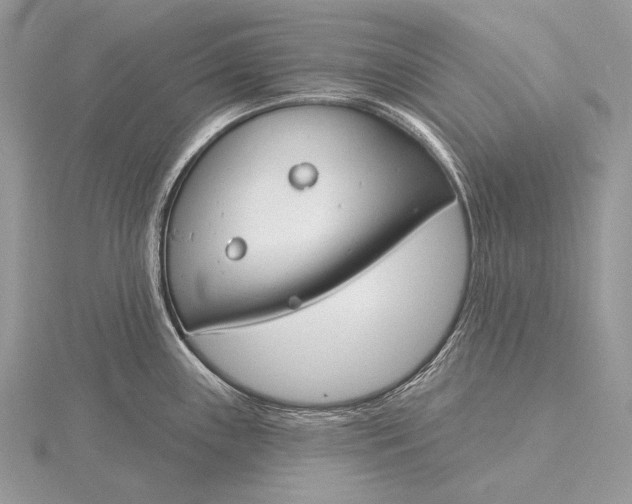 X0000115831243200912041641