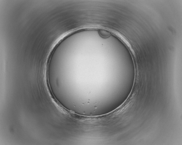 X0000115831245200912041641